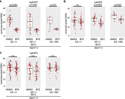 Natural SEL1L variants modify ERAD, proteasome function, and survival in a Drosophila model of NGLY1 deficiency
