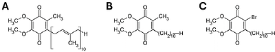 Effects of the Coenzyme Q10 Analog 6-Bromo-ubiquinone (6-Br-Q0C10) on Mammalian Cell Growth