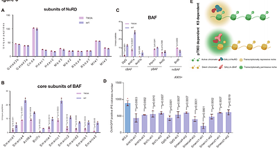 A Phospho-Switch for Cell Fate Control