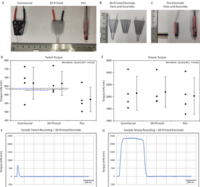Custom-Built Electrodes Perform Comparably to a Discontinued Commercial Electrode for Neuromuscular Electrical Stimulation in Mice