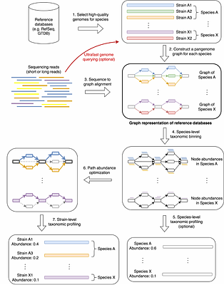 Strain-level metagenomic profiling using pangenome graphs with PanTax