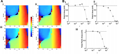 Phase resetting of in-phase synchronized Hodgkin-Huxleydynamics under voltage perturbation reveals reduced null space