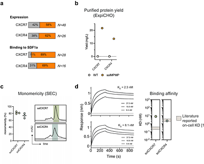 De novo design of hundreds of functional GPCR-targeting antibodies enabled by scaling test-time compute