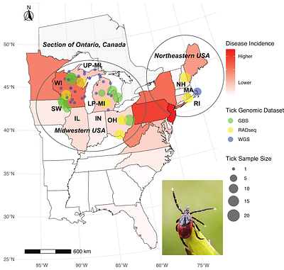 Reconstructing the demographic history of blacklegged ticks (Ixodes scapularis) in the northern United States