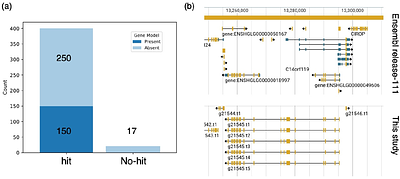 Genome assembly and annotation of the naked mole rat Heterocephalus glaber reared in Japan