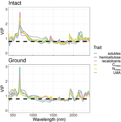 Rapid estimates of leaf litter chemistry using reflectance spectroscopy
