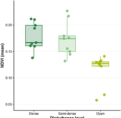 Overgrazing drives ant diversity loss and community homogenization in the Tumbesian dry forest in Ecuador