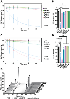Heterologous expression of microbial nitroreductases for TNT degradation in transgenic animals