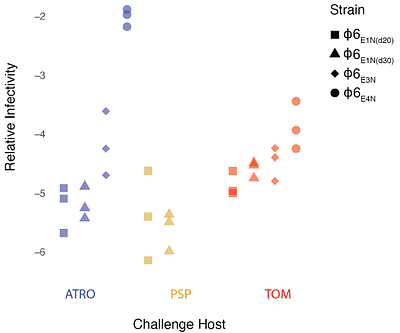 Narrowed host ranges do not constrain future host range expansion in RNA phage phi6