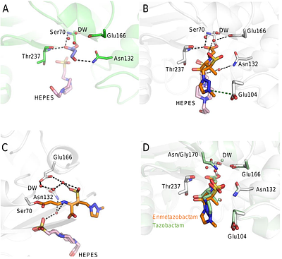 Mechanistic Basis for Inhibition of the Extended Spectrum Class A b-Lactamase GES-1 by Tazobactam and Enmetazobactam