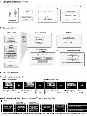 Perceived social value is more strongly linked to gossip decisions with age in adolescence