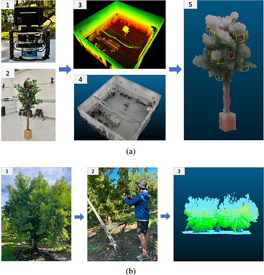 Fusion-Driven Tree Reconstruction and Fruit Localization: Advancing
  Precision in Agriculture
