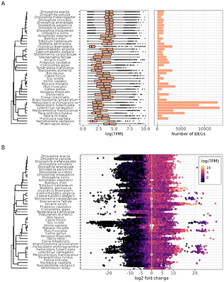Comparative analysis of maternal gene expression patterns unravelsevolutionary signatures across reproductive modes