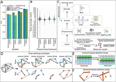 SynVerse: A Framework for Systematic Evaluation of Deep Learning Based Drug Synergy Prediction Models
