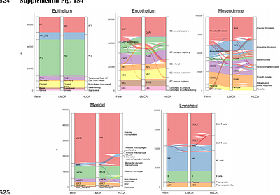 A postnatal human lung developmental atlas reveals windows of genetic vulnerability to chronic lung disease