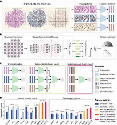 Multiplexed tumor profiling with generative AI accelerates histopathology workflows and improves clinical predictions