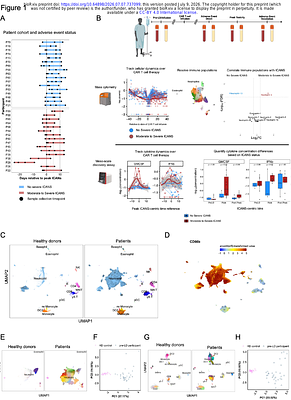 Coordinated expansion of CD163⁺ monocytes and immature CD177⁺ neutrophils marks severe neurotoxicity after CD19 CAR T cell therapy