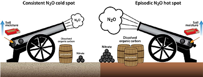 A new conceptual framework explaining spatial variation in soil nitrous oxide emissions