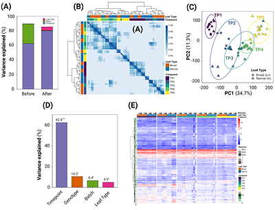 Natural leaf shape variation reveals diverse transcriptional targets of GmJAG1 during soybean leaf development