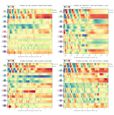 Signatures of Motion: Decomposition of Adaptive Morphing Flight in Harris' Hawks