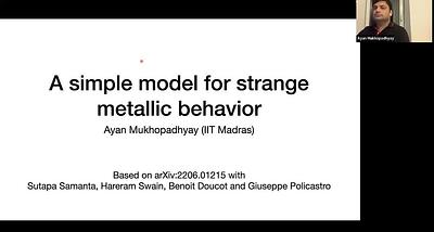 A simple model for strange metallic behaviour