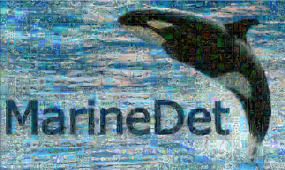 MarineDet: Towards Open-Marine Object Detection