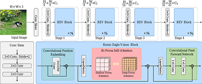 EViT: An Eagle Vision Transformer with Bi-Fovea Self-Attention
