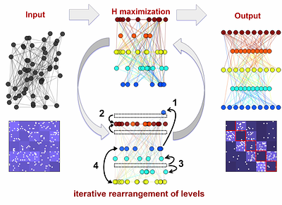 A hierarchy index for networks in the brain reveals a complex entangled
  organizational structure