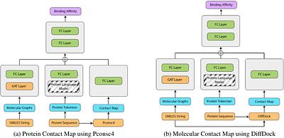 PGraphDTA: Improving Drug Target Interaction Prediction using Protein
  Language Models and Contact Maps