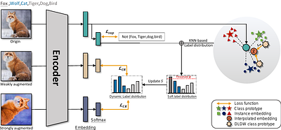 Robust Representation Learning for Unreliable Partial Label Learning