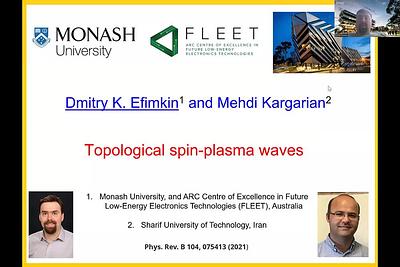 Spin-plasma waves