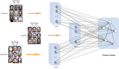 Age Estimation Based on Graph Convolutional Networks and Multi-head
  Attention Mechanisms