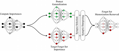 Fast Machine Unlearning Without Retraining Through Selective Synaptic
  Dampening