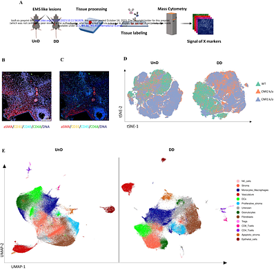Endocannabinoids and their receptors modulate endometriosis pathogenesis and immune response
