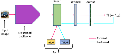 On-Device Learning with Binary Neural Networks
