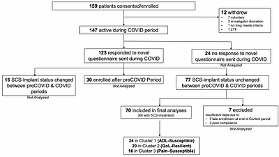 The Impact of COVID-19 on Chronic Pain: Multidimensional Clustering
  Reveals Deep Insights into Spinal Cord Stimulation Patients