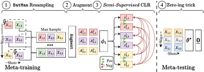 BatMan-CLR: Making Few-shots Meta-Learners Resilient Against Label Noise