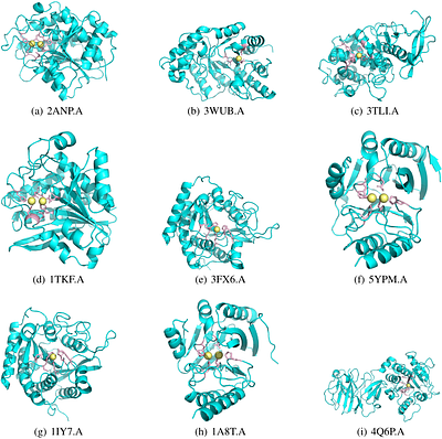 Functional Geometry Guided Protein Sequence and Backbone Structure
  Co-Design