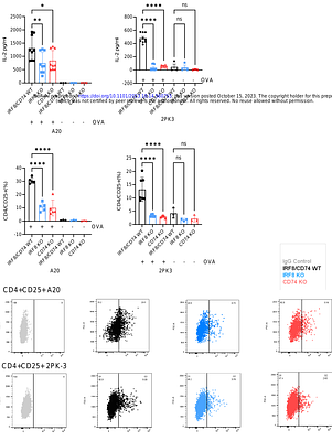 IRF8-mutant B cell lymphoma evades immunity through a CD74-dependent deregulation of antigen processing and presentation in MHC CII complexes