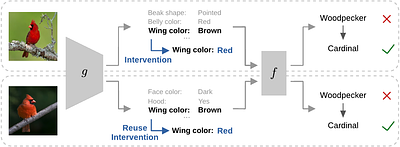 Learning to Intervene on Concept Bottlenecks