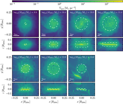 Magnetic field amplification in cosmological zoom simulations from dwarf
  galaxies to galaxy groups