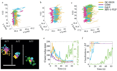 Early steps of multi-receptor viral interactions dissected by high-density, multi-color single molecule mapping in living cells