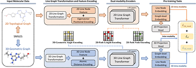 Geometry-aware Line Graph Transformer Pre-training for Molecular
  Property Prediction