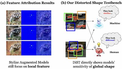 Does resistance to Style-Transfer equal Shape Bias? Evaluating Shape
  Bias by Distorted Shape