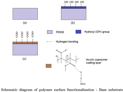 Amphiphilic diblock copolymers as functional surfaces for protein
  chromatography