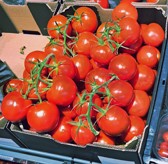 A Vision-Guided Robotic System for Grasping Harvested Tomato Trusses in
  Cluttered Environments