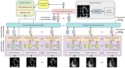 GEMTrans: A General, Echocardiography-based, Multi-Level Transformer
  Framework for Cardiovascular Diagnosis