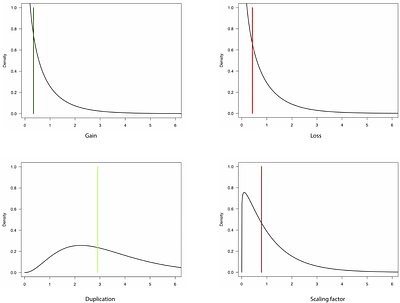Evolution of the Metazoan Protein Domain Toolkit Revealed by a Birth-Death-Gain Model