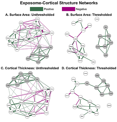 Multilayer network associations between the exposome and childhood brain development