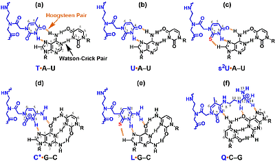 Towards the Development of Isoenergetic Peptide Nucleic Acid Based Probes Targeting Double-Stranded RNAs Through Enhancing Sequence-Specific Stacking Interactions